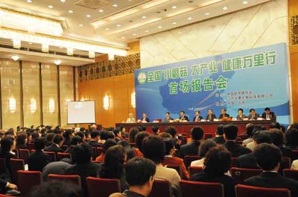 凯发k8国际首页登录